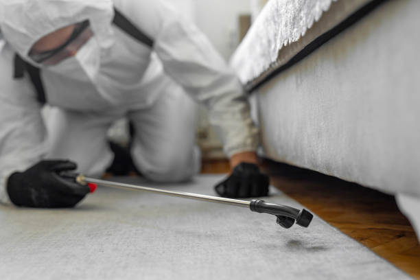 Professional Termite Control technician working in Danbury, TX