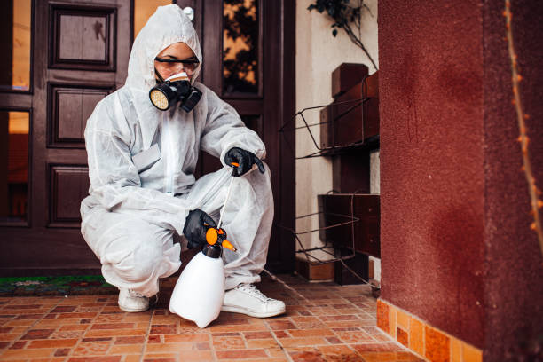 Reliable Termite Control contractor in Danbury, TX by Nex Pest Control